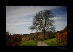 Herbst Reste