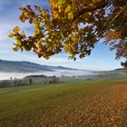 Herbst- Restwärme geniessen