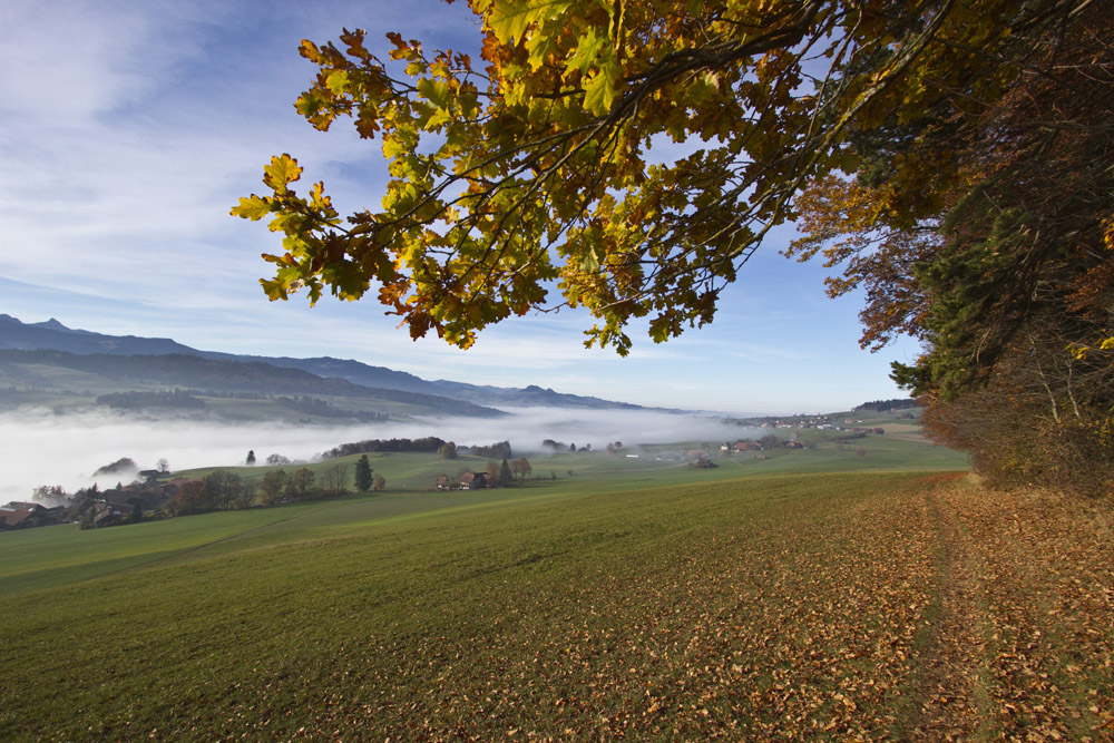 Herbst- Restwärme geniessen