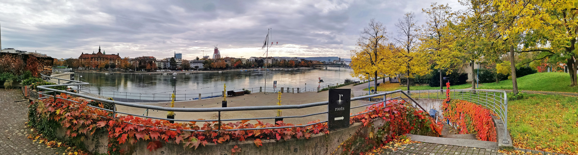 Herbst-Rhein-Panorama