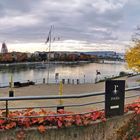 Herbst-Rhein-Panorama