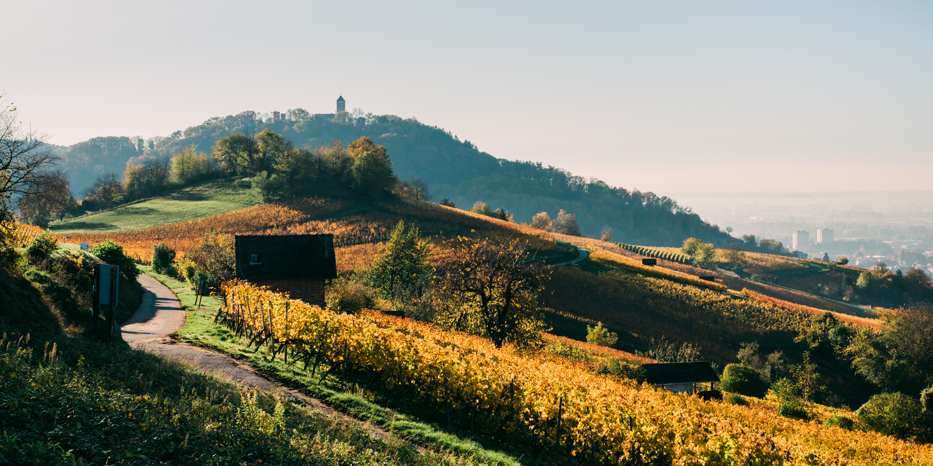 Herbst Richtung Heppenheim Starkenburg 2020