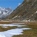 ... Herbst - Rötalm - Südtirol ...