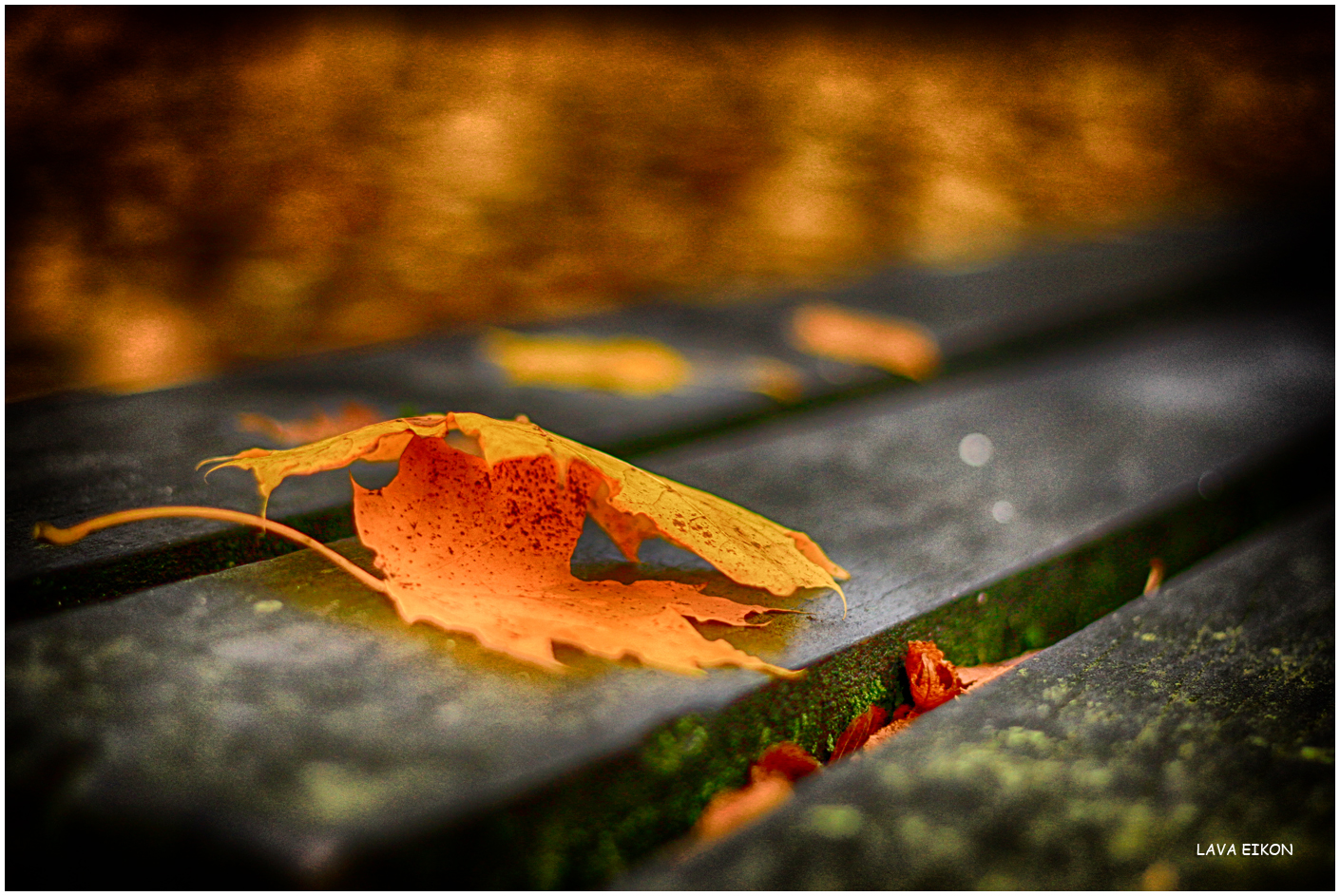 Herbst-Romantik