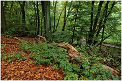 Herbst rot-grün