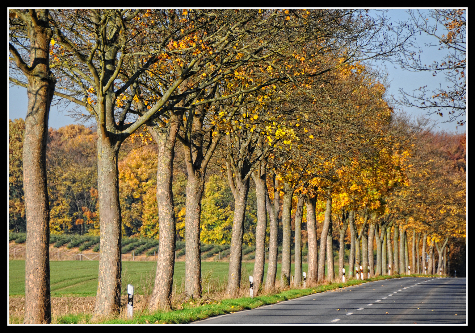 Herbst-Route