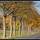 Herbst-Route