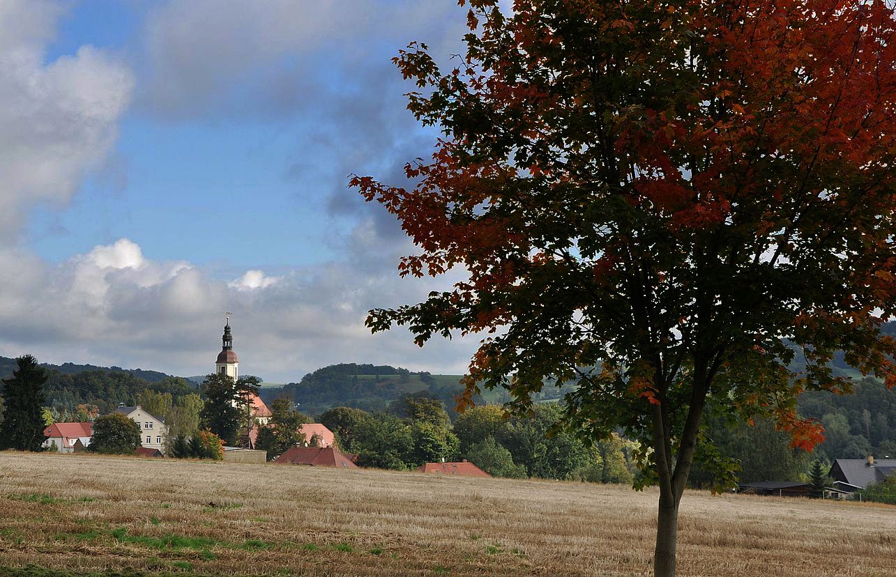 Herbst-Rückblick 1