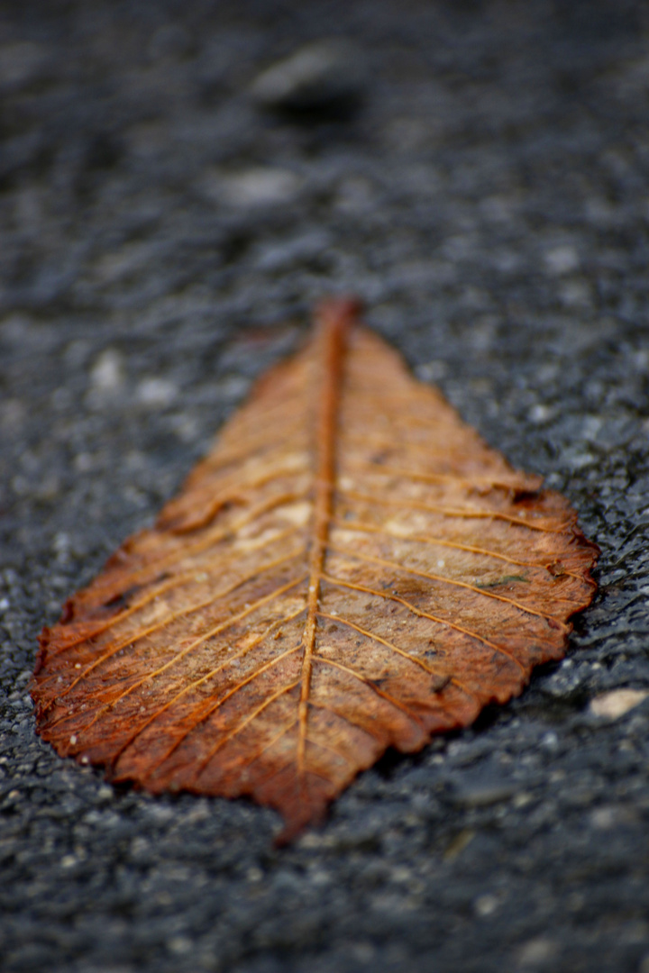 Herbst rückt näher