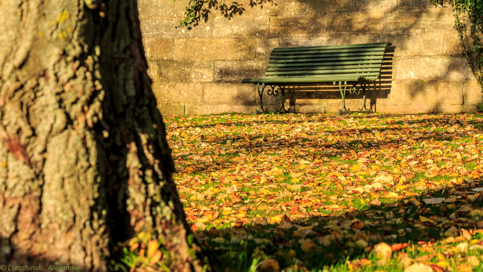 Herbst-Ruhe vor dem Winterschlaf