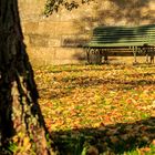 Herbst-Ruhe vor dem Winterschlaf