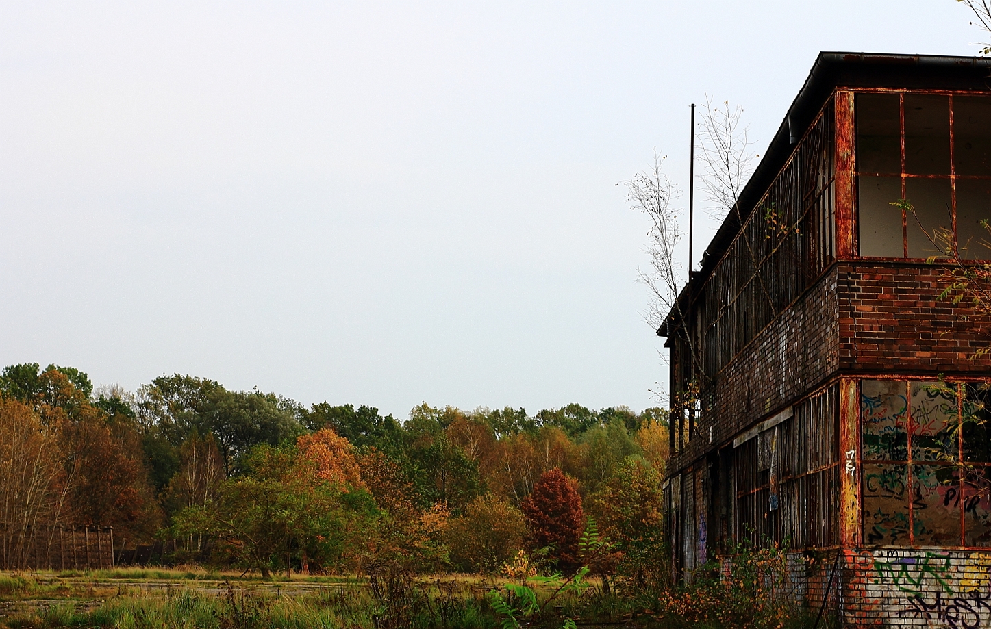 Herbst Ruine