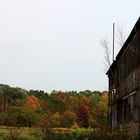 Herbst Ruine