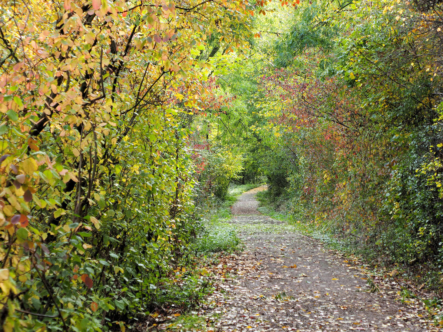 Herbst Rundgang..