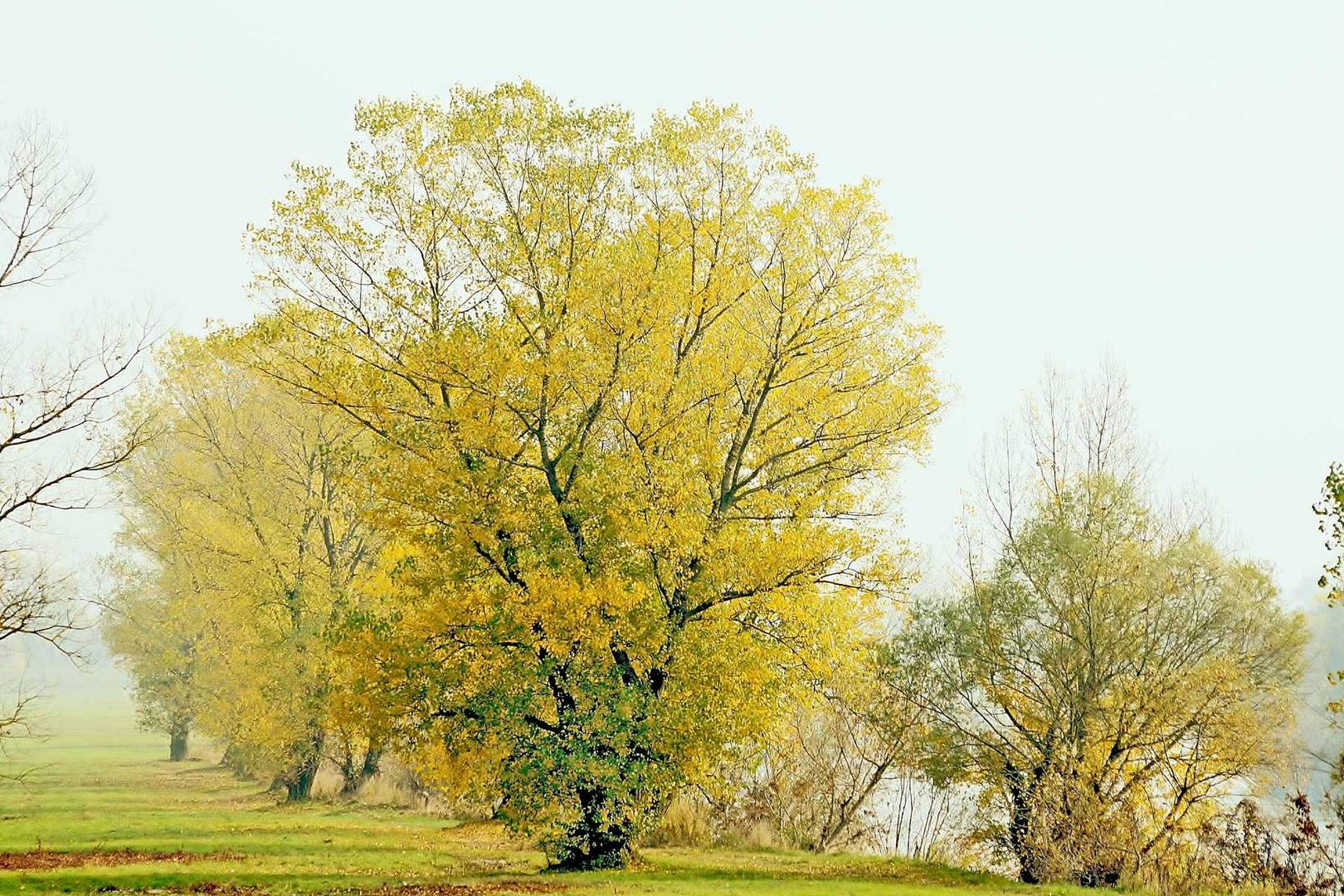 Herbst_ Sava Fluss entlang