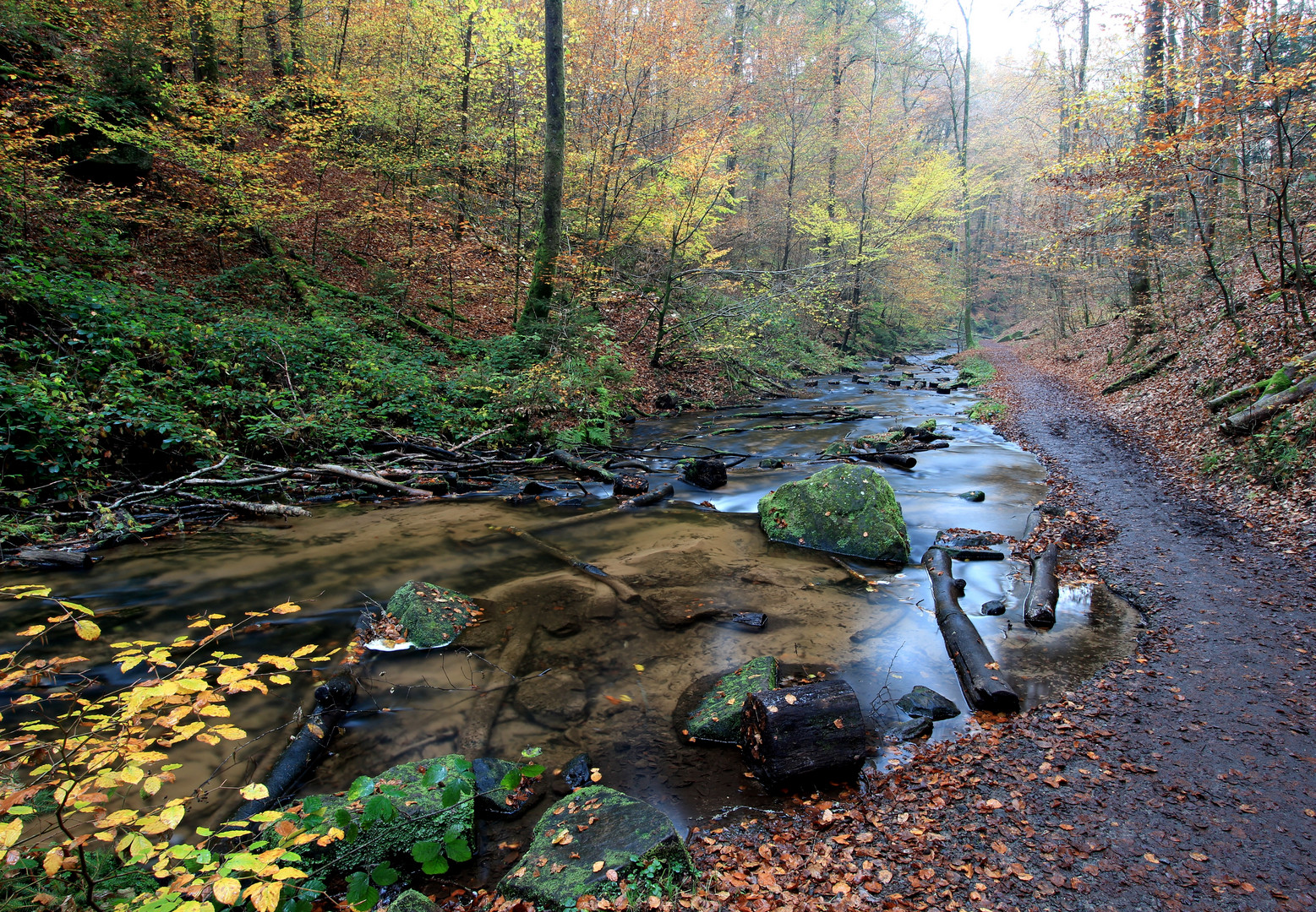 Herbst Saziergang im schönen Pfälzerwald