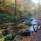 Herbst Saziergang im schönen Pfälzerwald