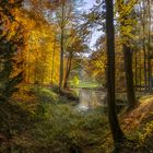 Herbst Schloss Dyck 16 -1