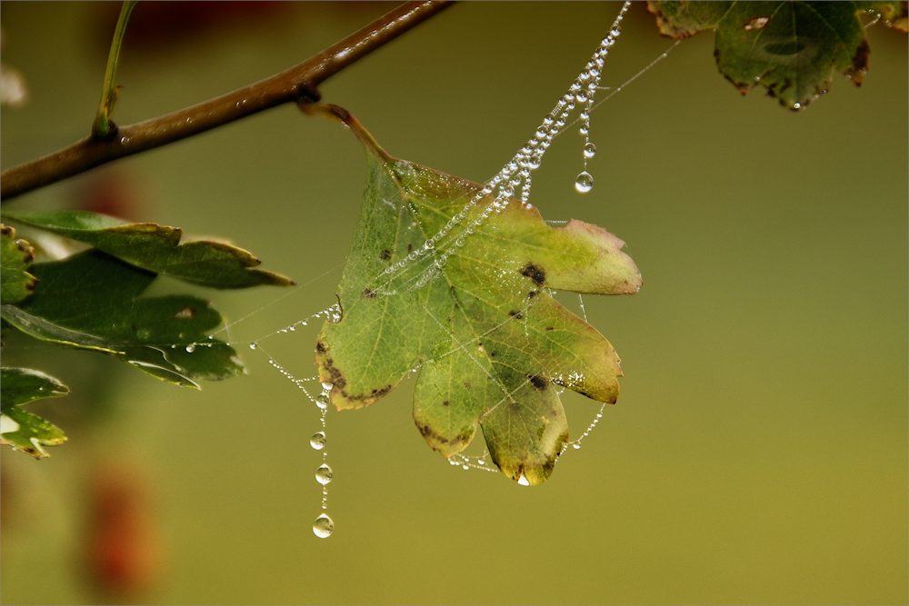 HERBST Schmuck