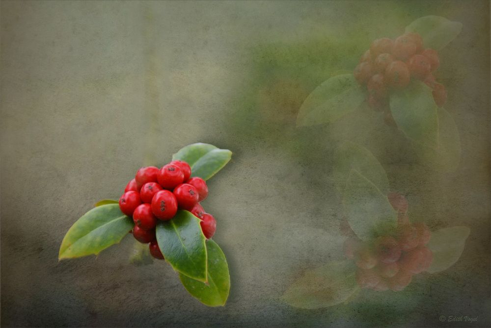 Herbst - Schmuck