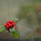 Herbst - Schmuck