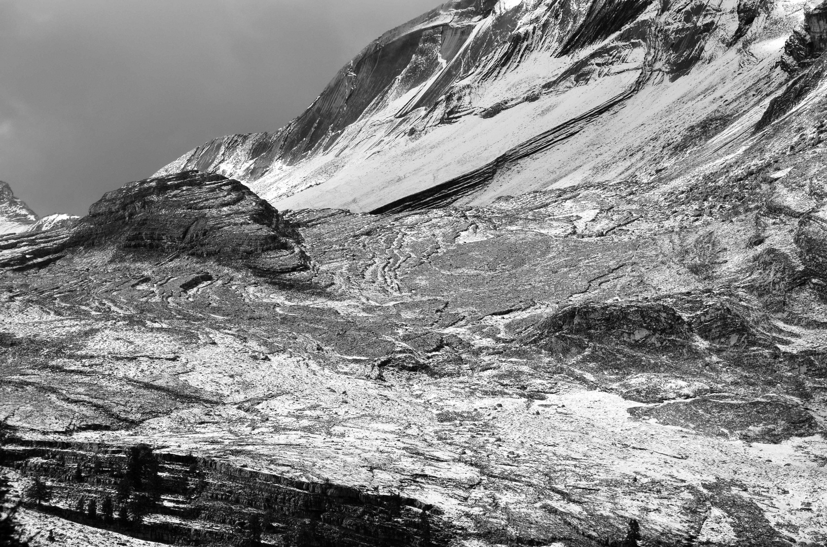 Herbst Schwarz Weiss