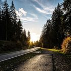 Herbst Schwarzwald