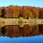 *Herbst-Seespiegelungen