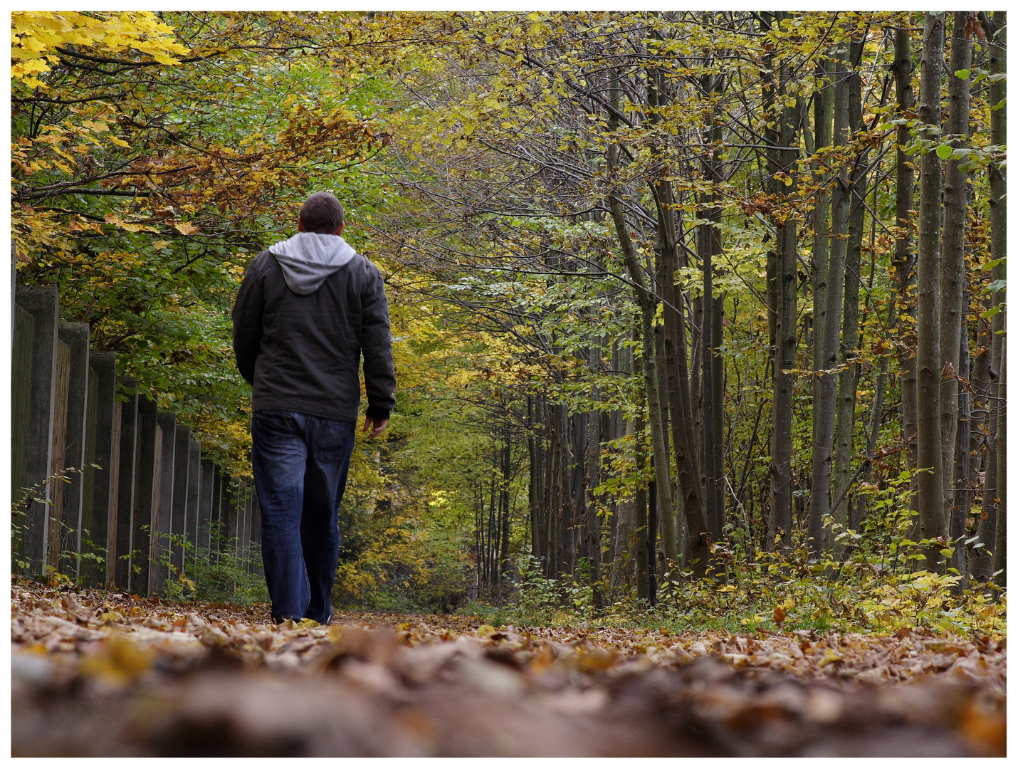 Herbst  (Self)