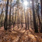 Herbst - Siebenhügel Wanderweg