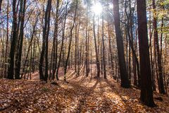 Herbst - Siebenhügel Wanderweg