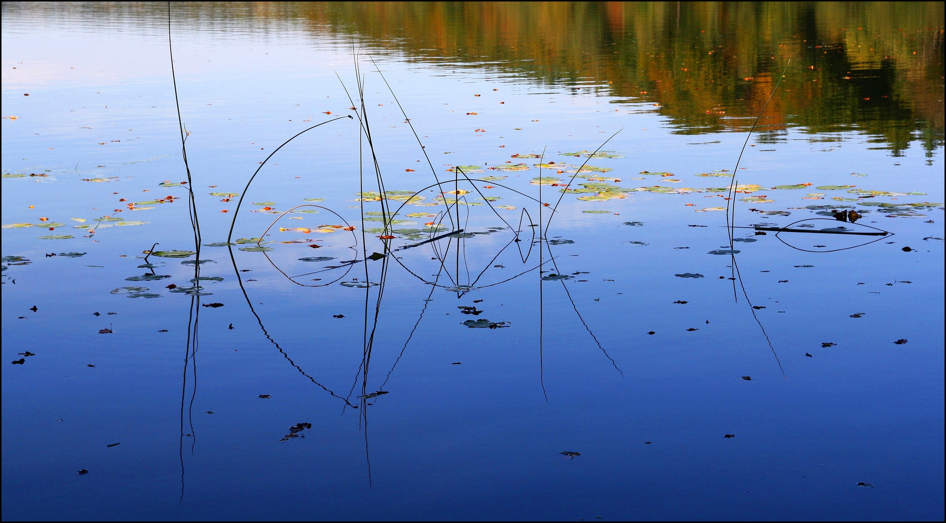 Herbst SigNatur