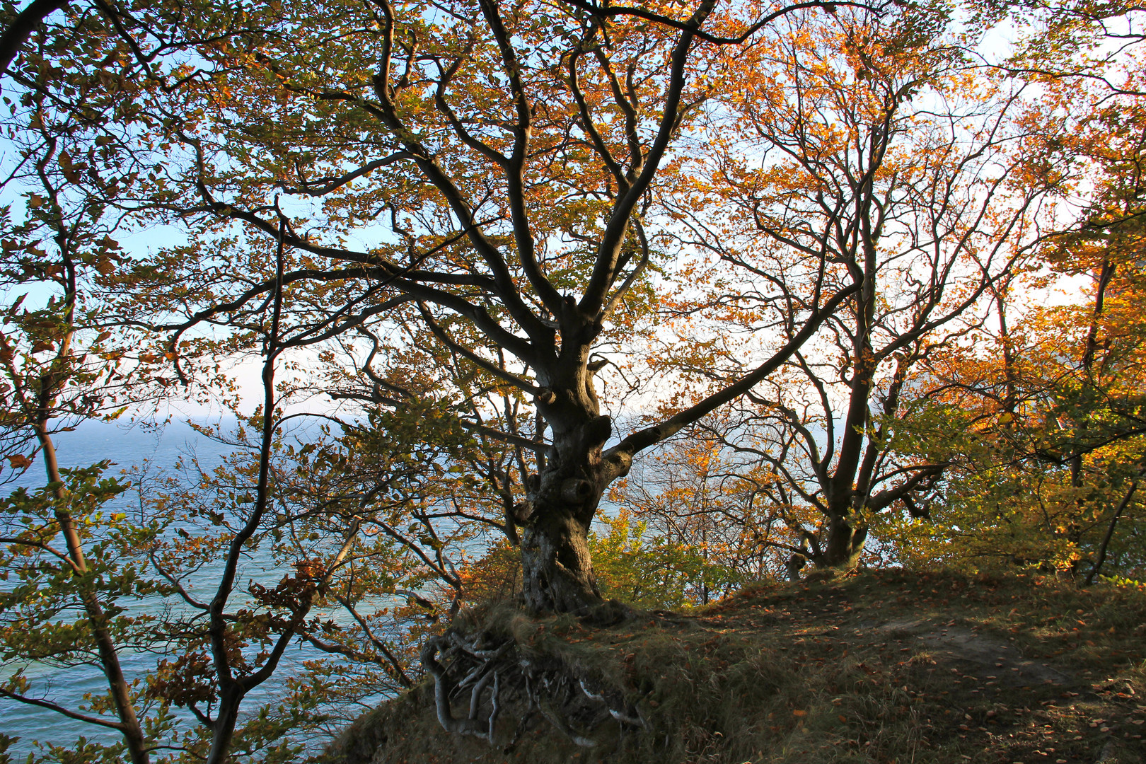 Herbst - so schön kann er sein