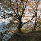 Herbst - so schön kann er sein