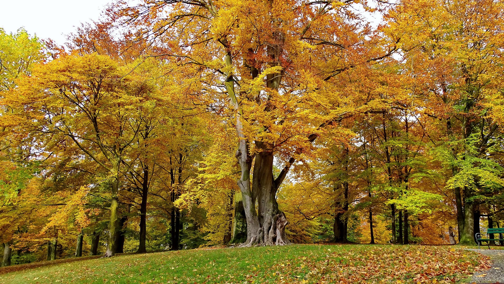 Herbst so wie ich mag...!