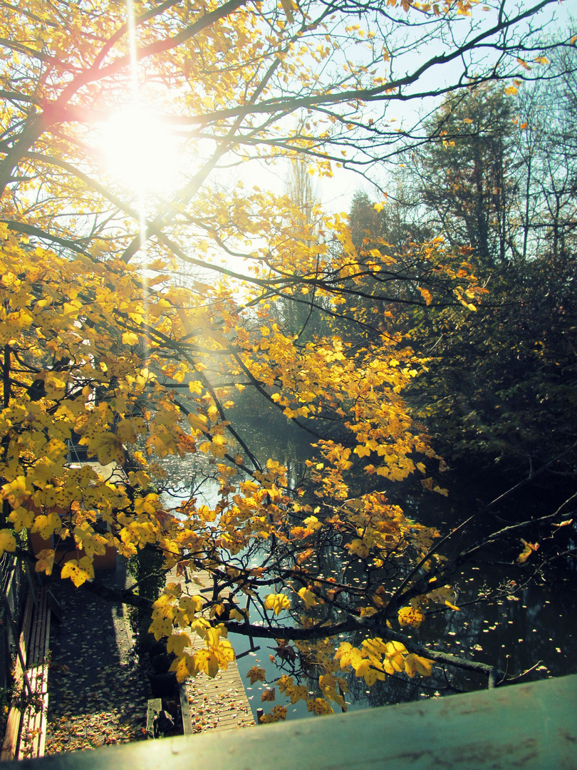 Herbst + Sonne = 