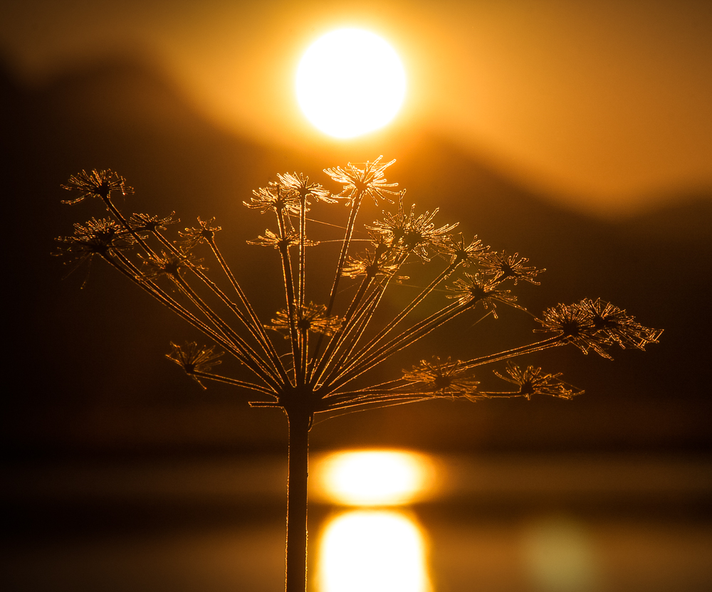 Herbst-Sonne