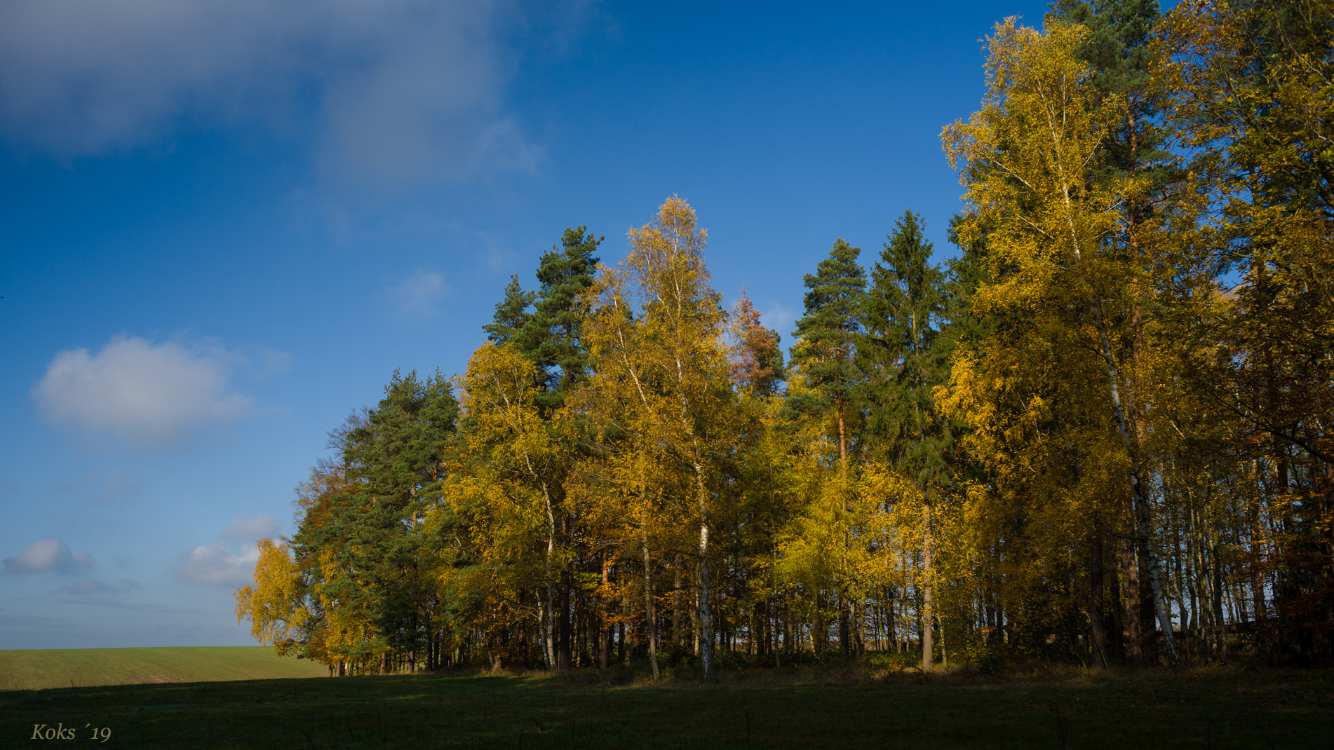 Herbst + Sonne