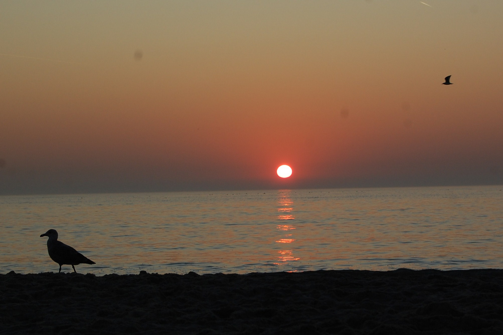 "Herbst Sonne am Meer"