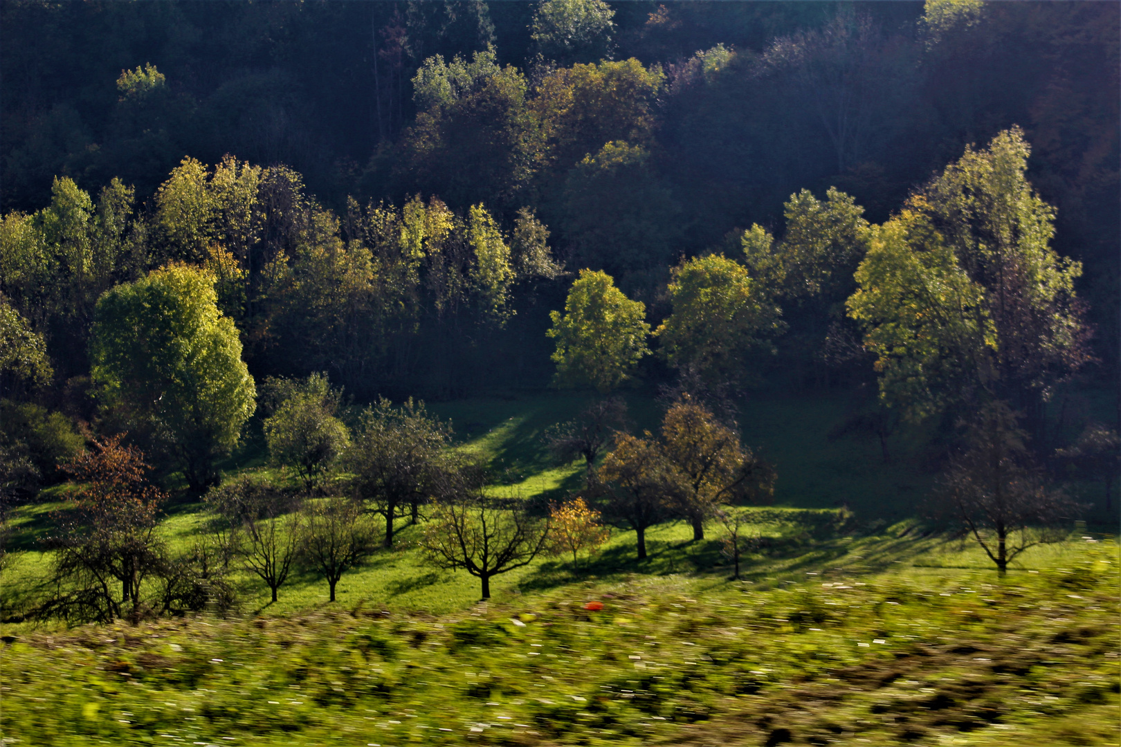 Herbst Sonne auf den Hängen