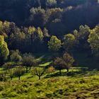 Herbst Sonne auf den Hängen