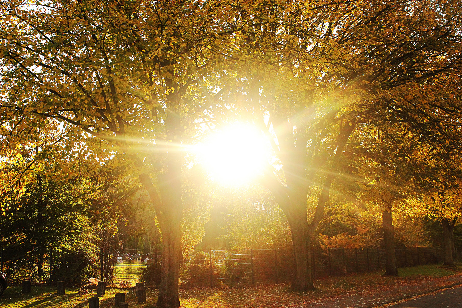 Herbst-Sonne :-)