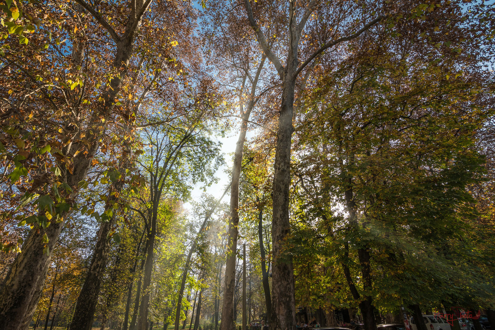 Herbst Sonnenstrahlen