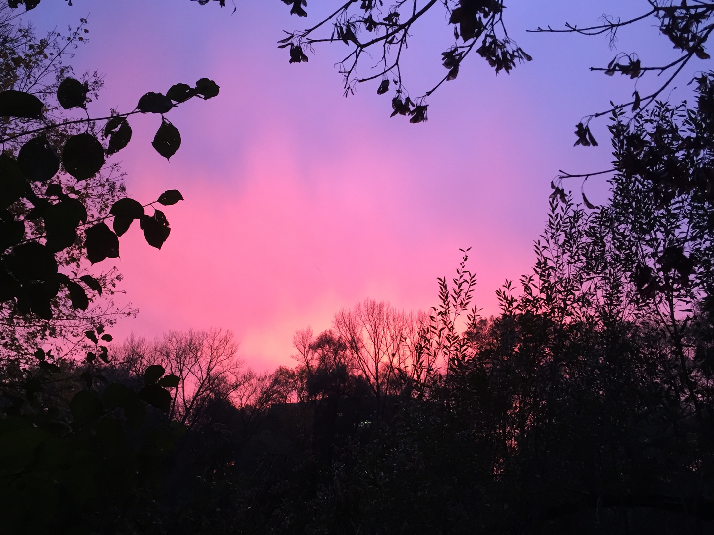 Herbst-Sonnenuntergang 