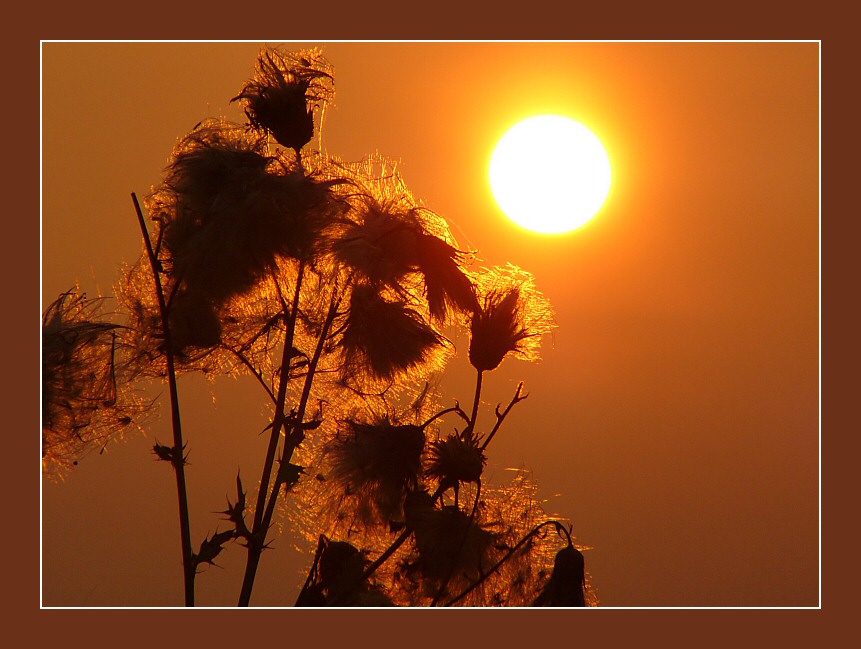 Herbst-Sonnenuntergang - Reload