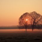 Herbst-Sonnnenaufgang-Nebel-Stimmung