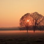 Herbst-Sonnnenaufgang-Nebel-Stimmung