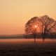 Herbst-Sonnnenaufgang-Nebel-Stimmung