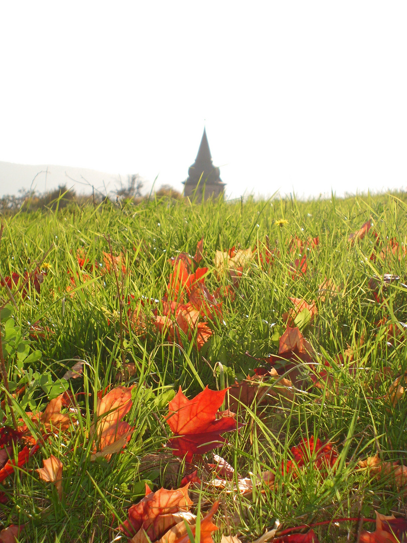 Herbst-Sonntag