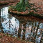 Herbst, sonst Nichts, ja, Bäume